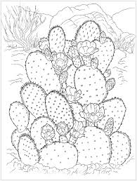 Omalovánka Cactuses