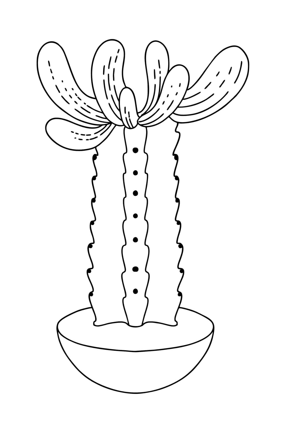 Úžasný hrnkový kaktus omalovánka