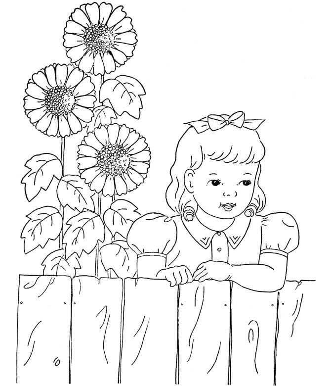 Ayçiçeği ile küçük kız omalovánka