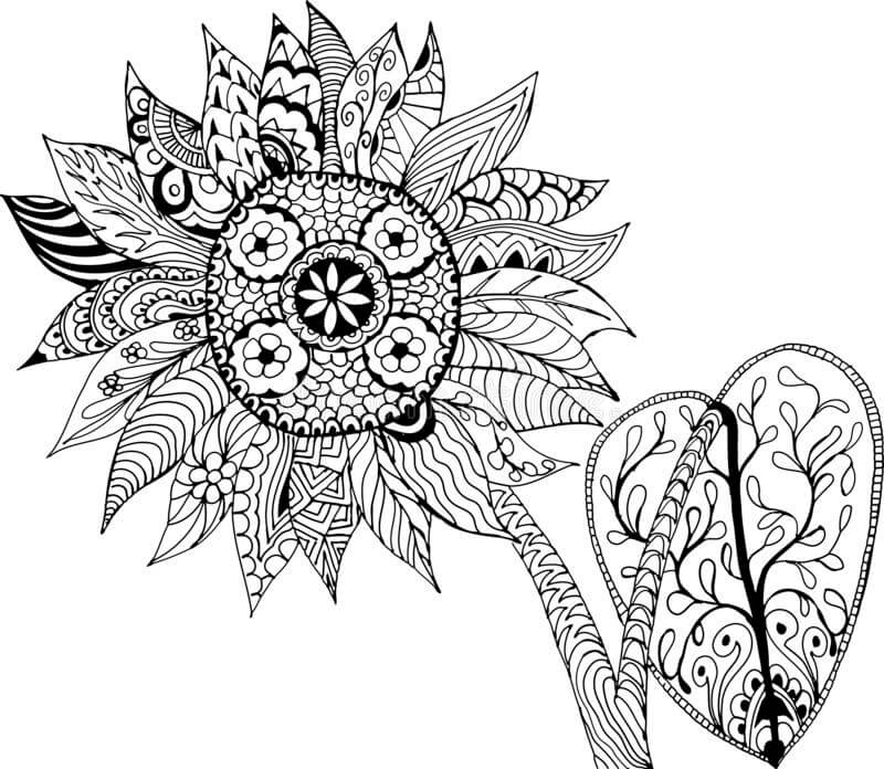 Ayçiçeği Mandalası omalovánka