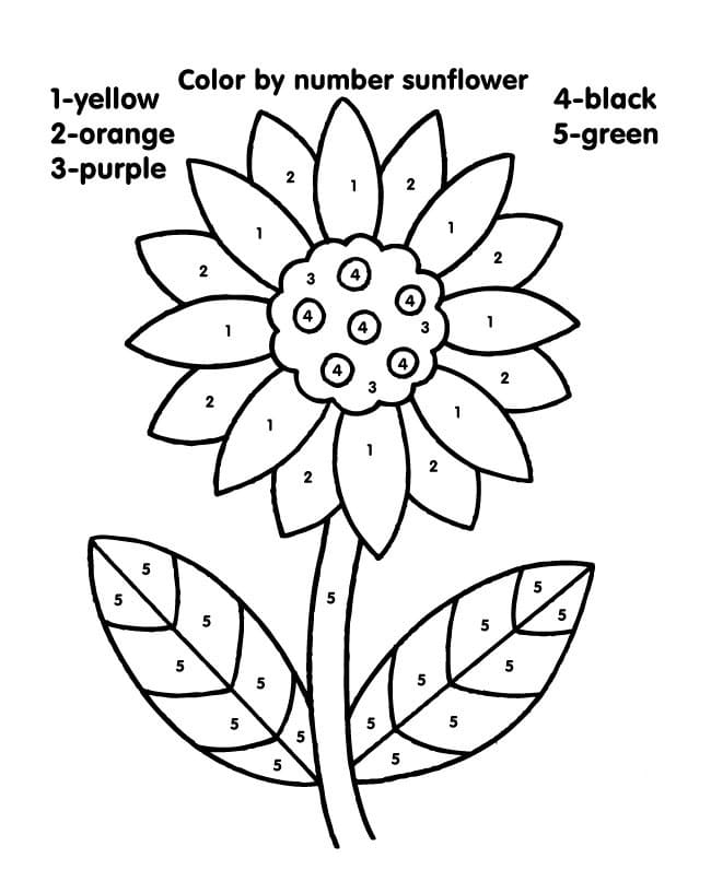 Omalovánka Barva slunečnice podle čísla