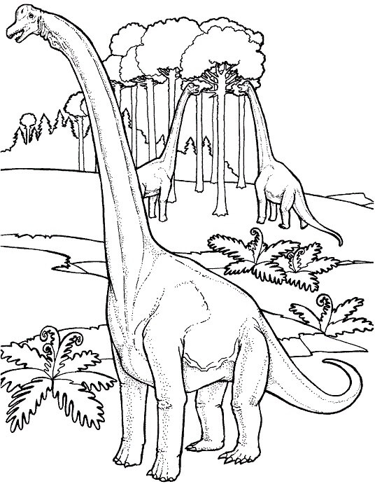 Brachiosaurus omalovánka