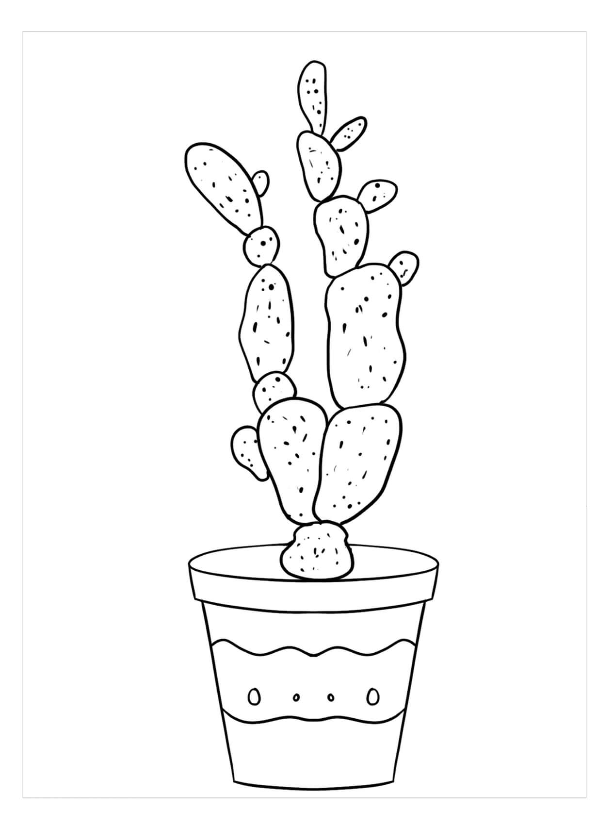 Dámské prsty Kaktus omalovánka