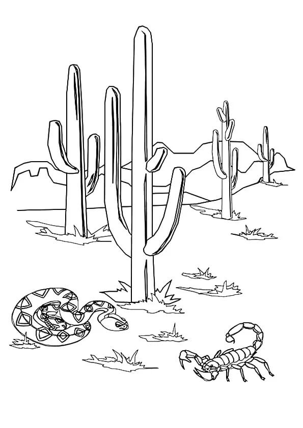 Had a Štír s kaktusem omalovánka