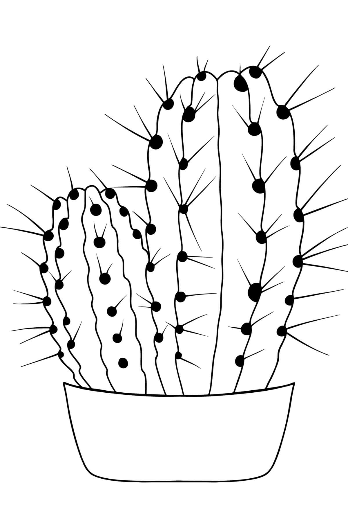 Jednoduchý hrnkový kaktus omalovánka