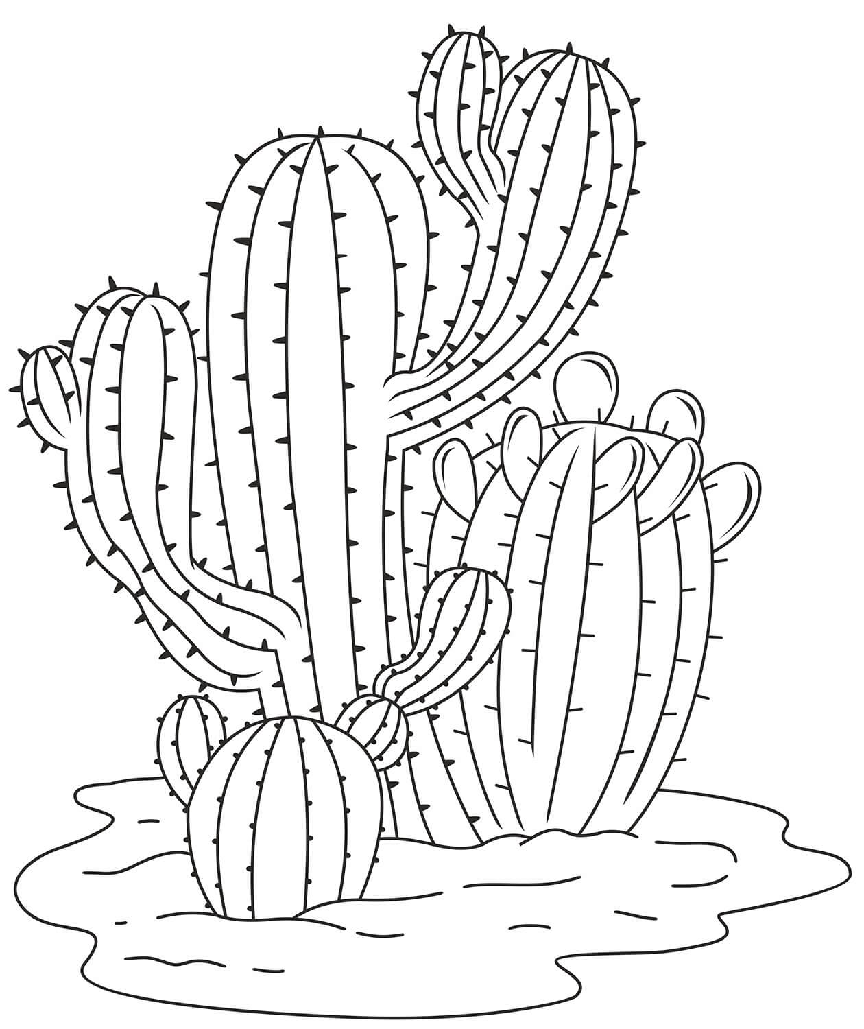 Jednoduchý kaktus omalovánka