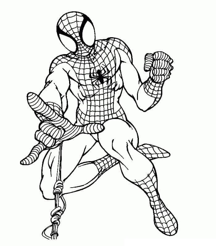 Omalovánka Jednoduché Kreslení Spiderman