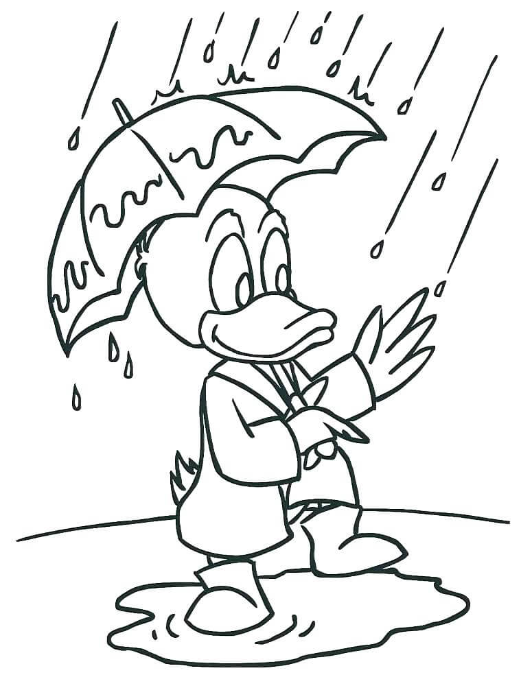 Kachna drží deštník omalovánka