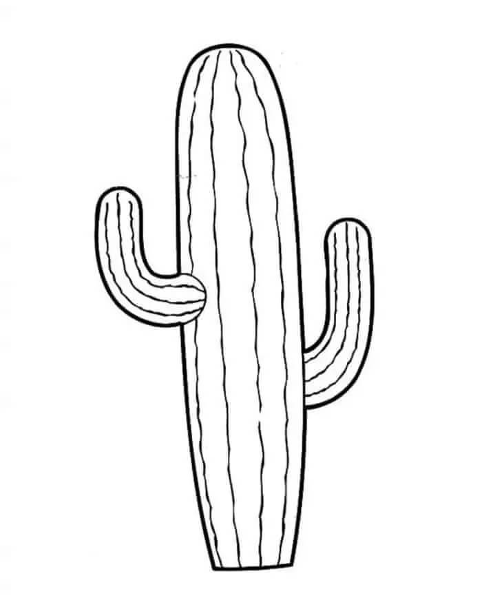 Kaktus pro tisk omalovánka