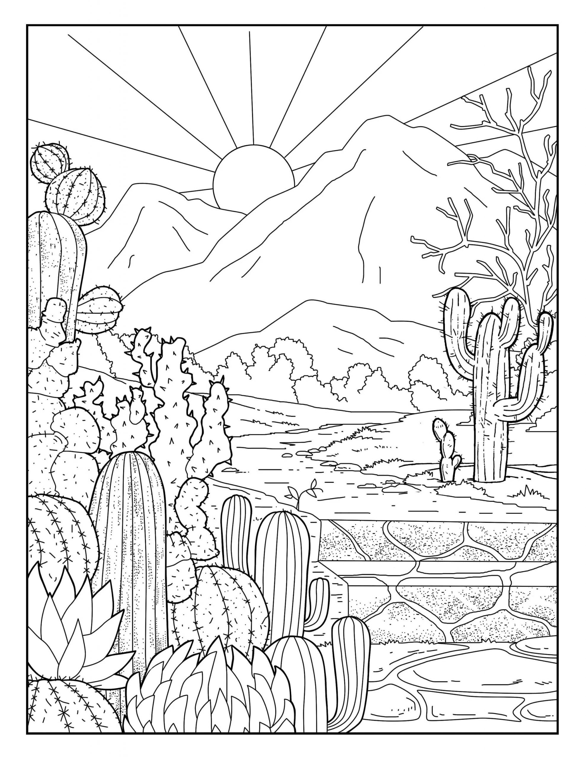 Kaktusová zahrada a slunce omalovánka