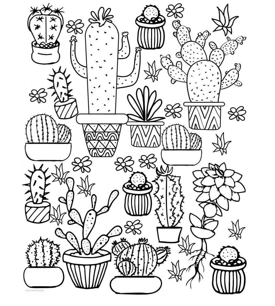 Kaktusová zahrada v květináči omalovánka