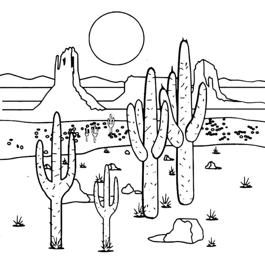 Kaktusy v poušti omalovánka