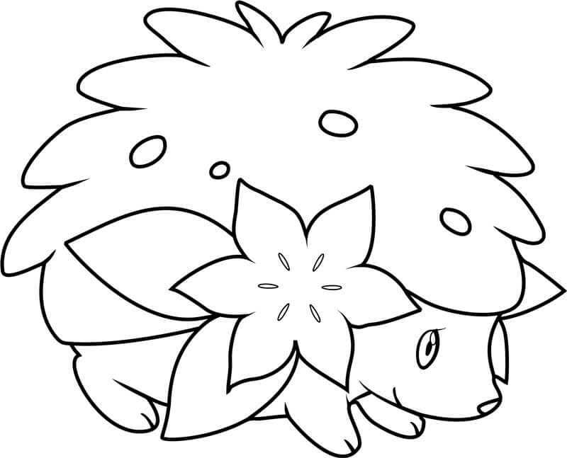 Krásný Pokémon Shaymin omalovánka