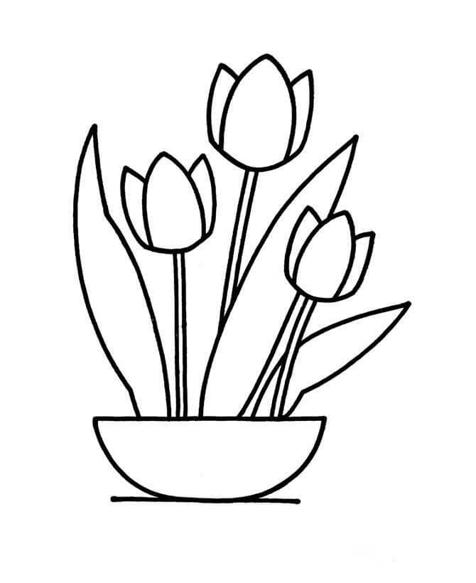 Omalovánka Kreslení jednoduché vázy s tulipány