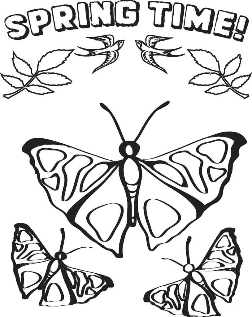 Kreslení Motýlů Jaro omalovánka