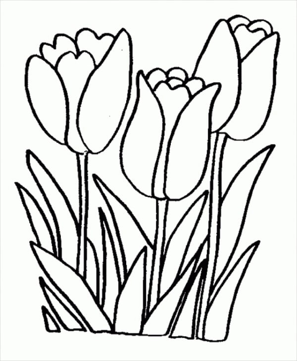 Kreslení Tři tulipány omalovánka