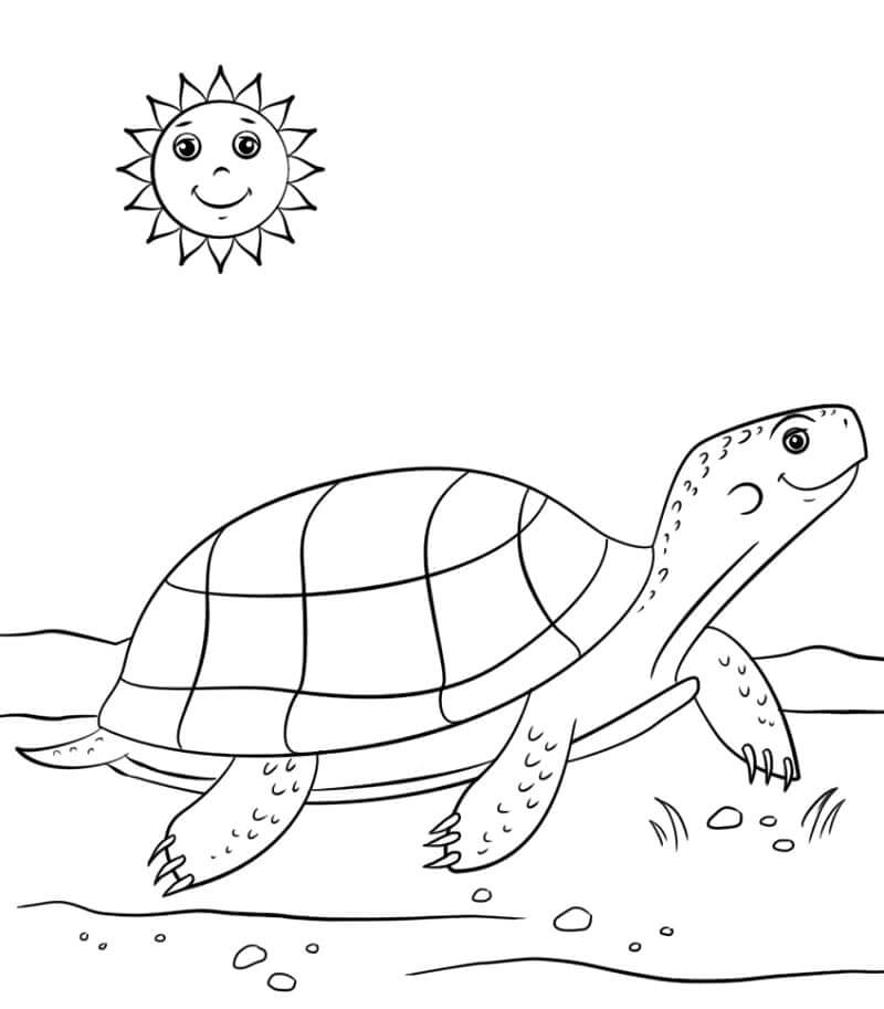Kreslená želva a Slunce omalovánka