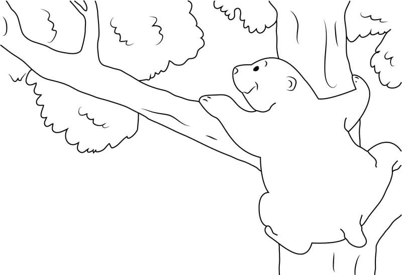 Lars Lezení na Strom omalovánka