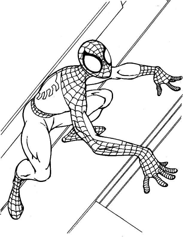 Lezení Spiderman omalovánka
