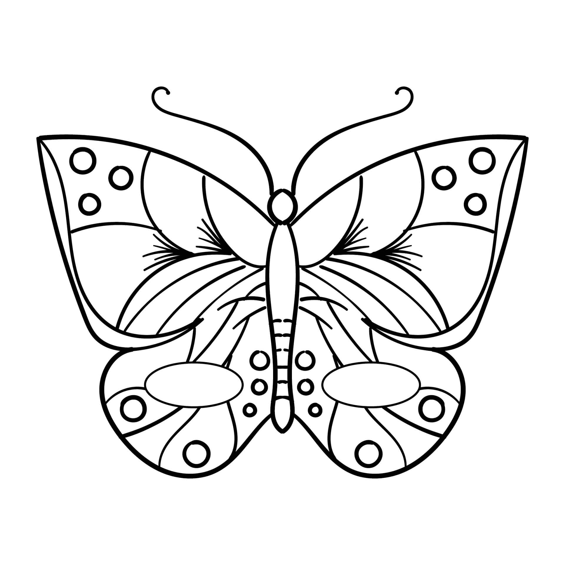 Motýlí maska omalovánka