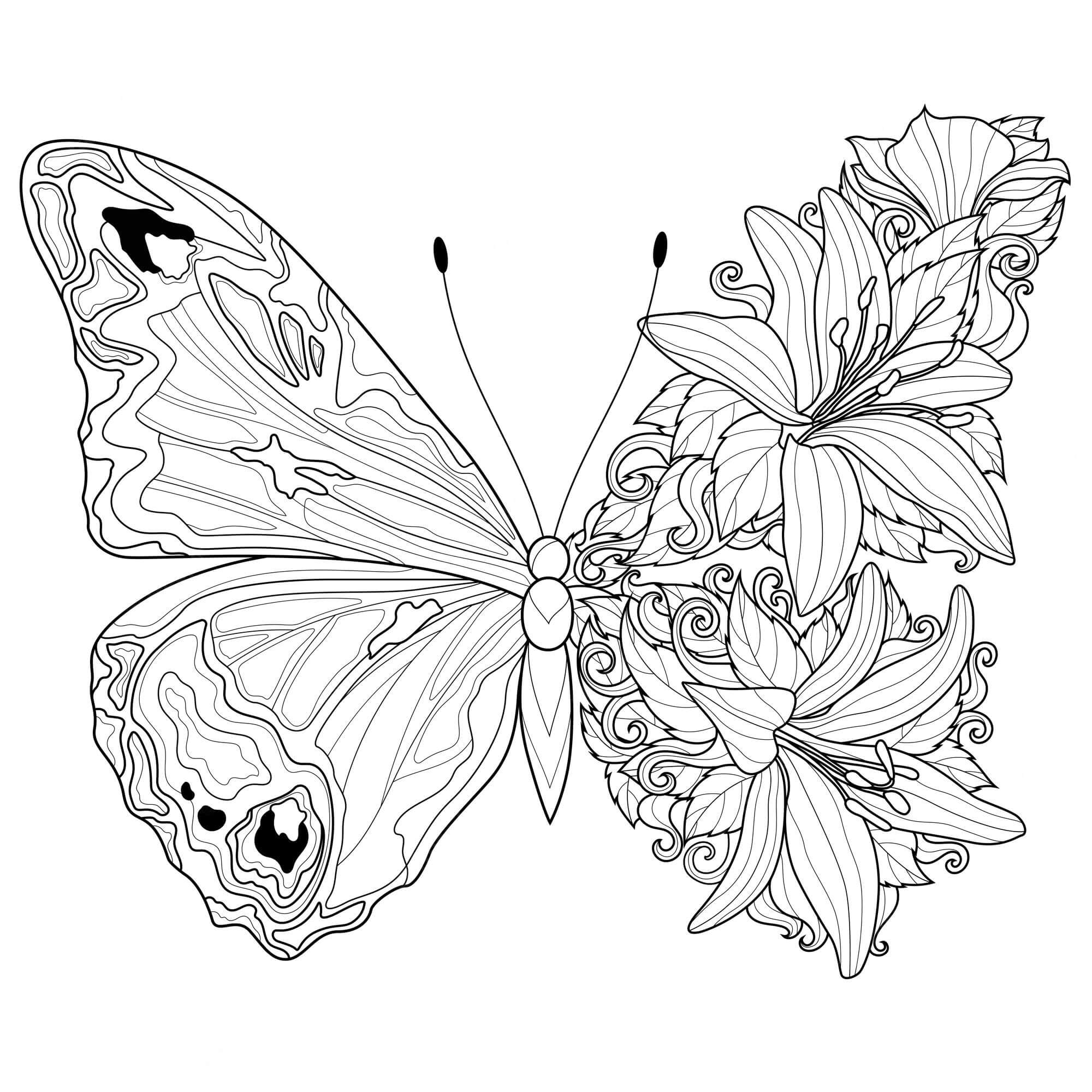 Motýli mají květinové křídlo omalovánka
