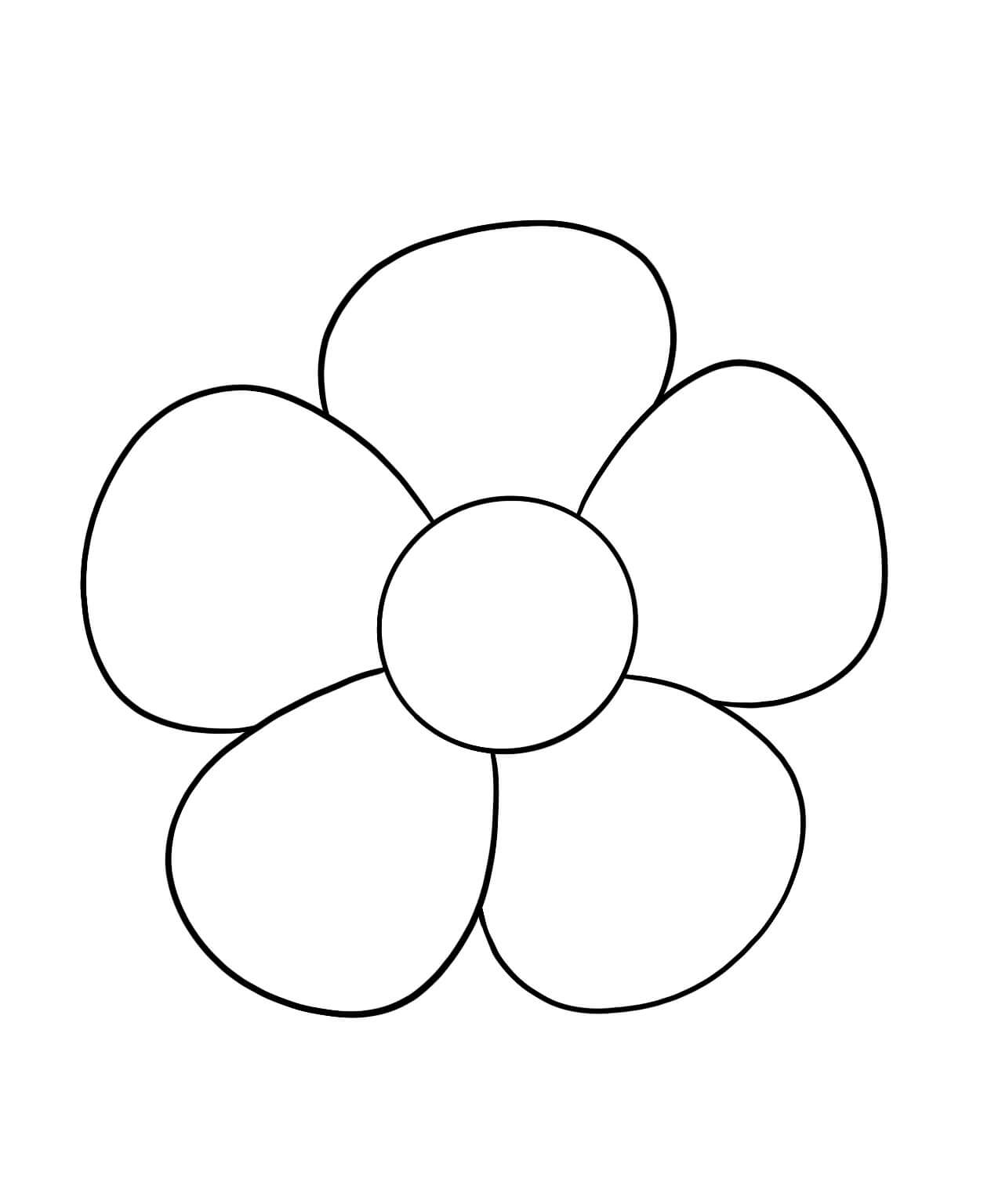 Nakreslete jednoduchý květ omalovánka
