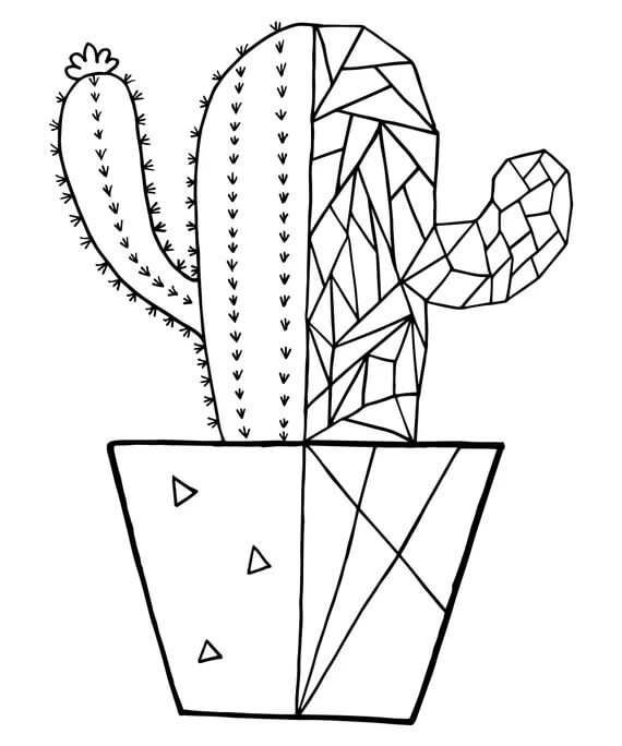 Pěkný kaktus omalovánka