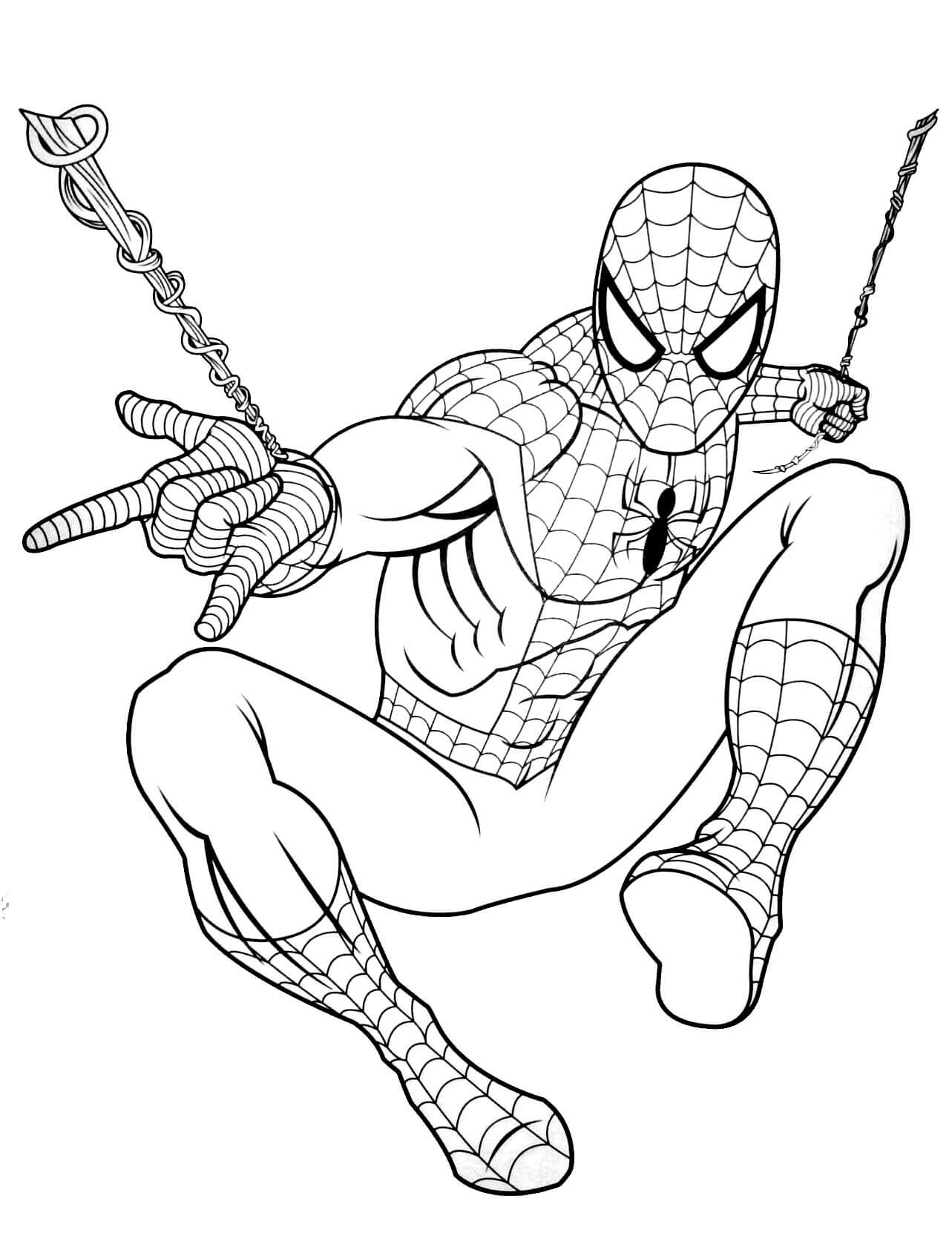 Parádní Spiderman omalovánka