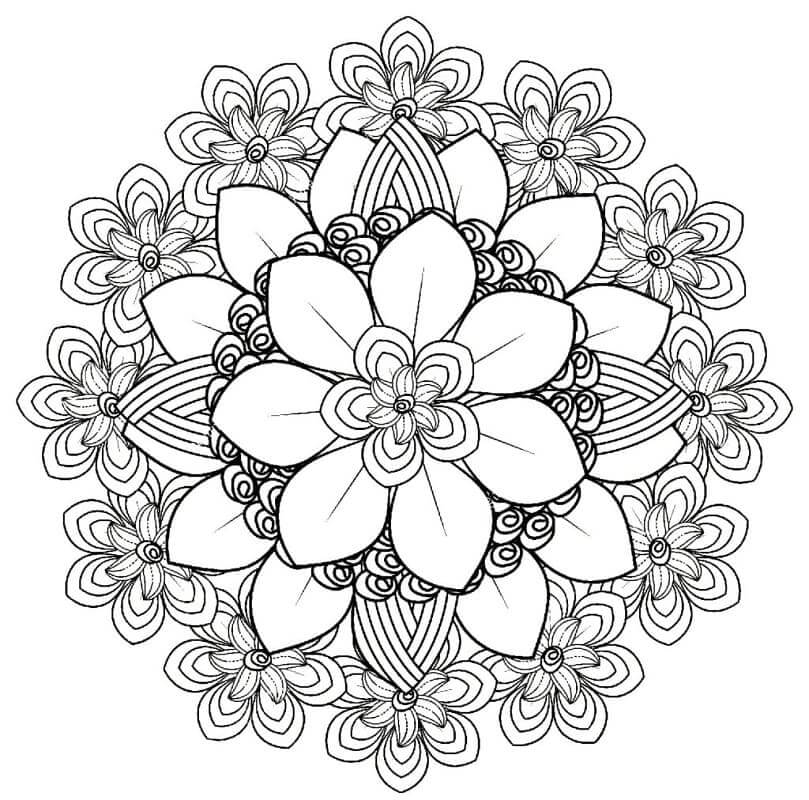 Pěkná květinová mandala omalovánka
