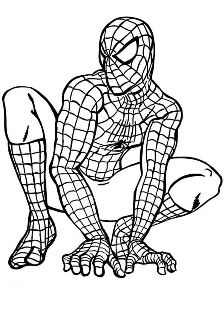 Pěkný Spiderman omalovánka