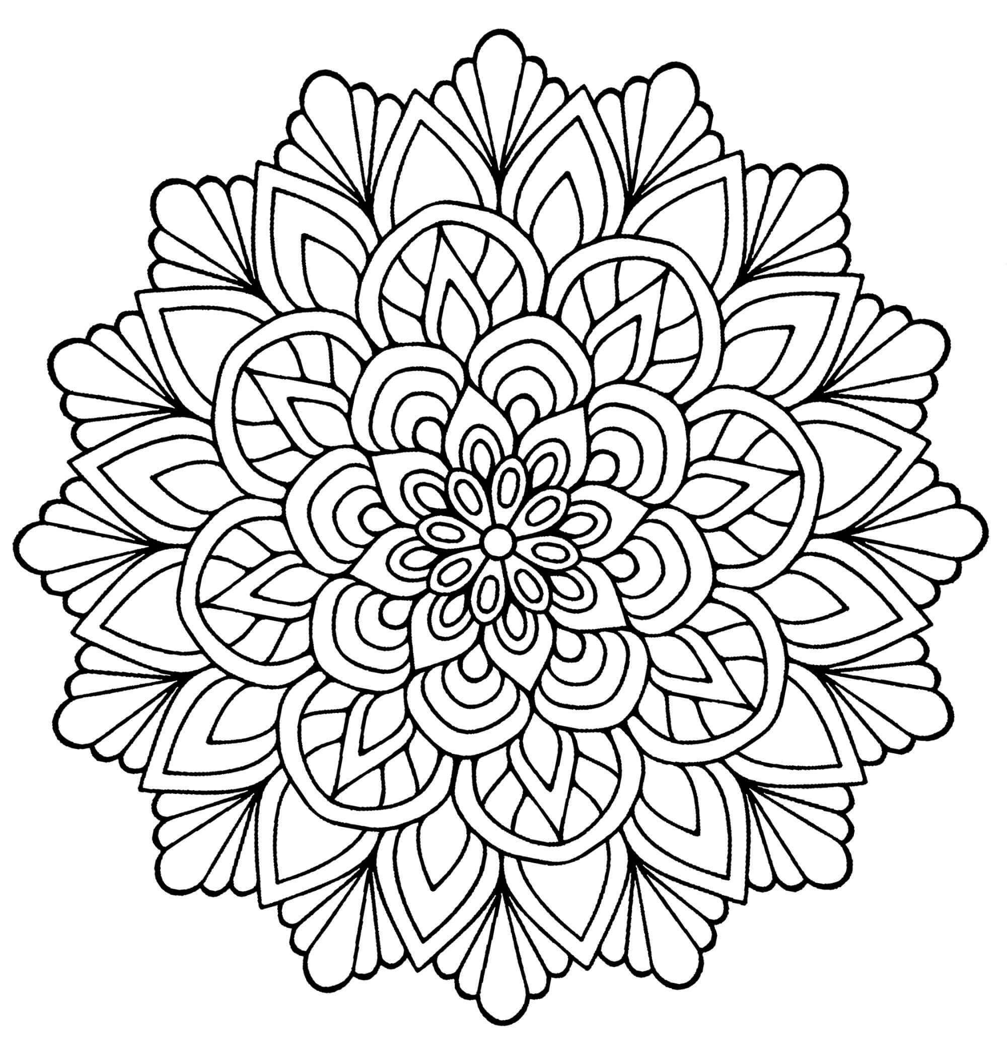 Přírodní květinová mandala omalovánka