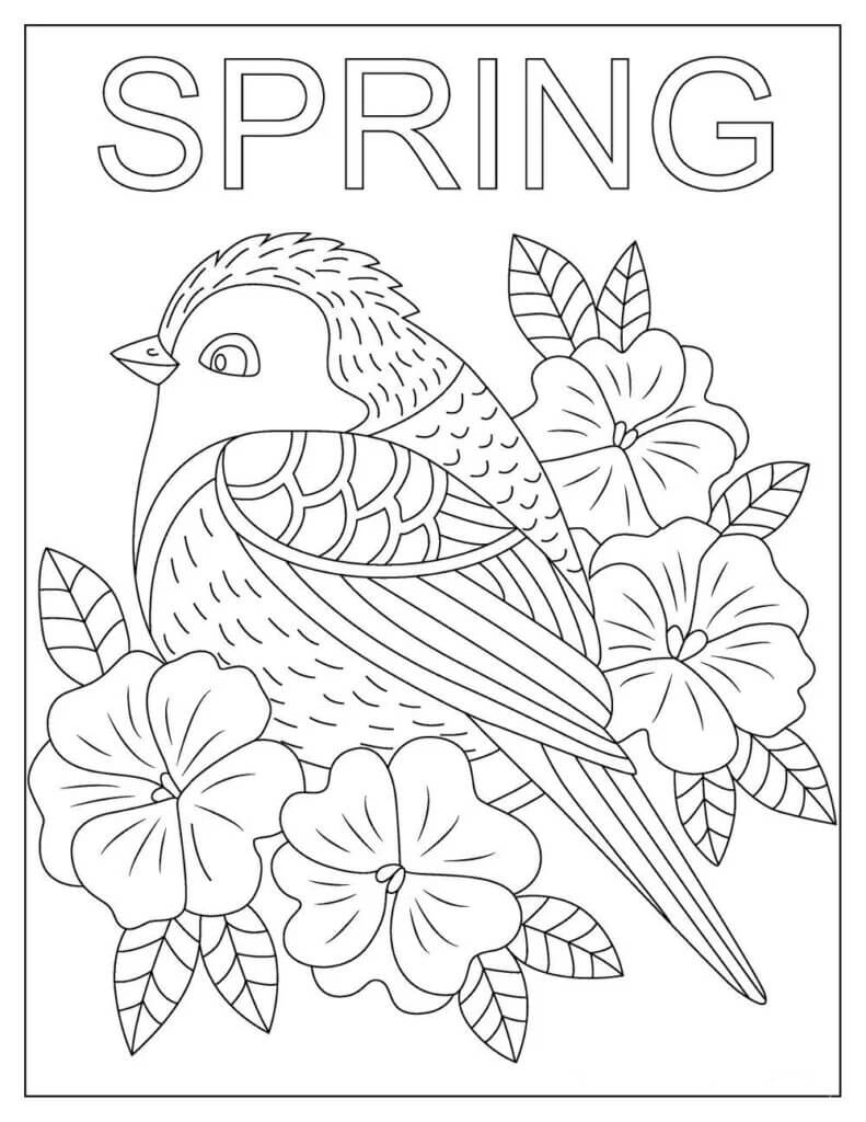 Pták s květinami na jaře omalovánka