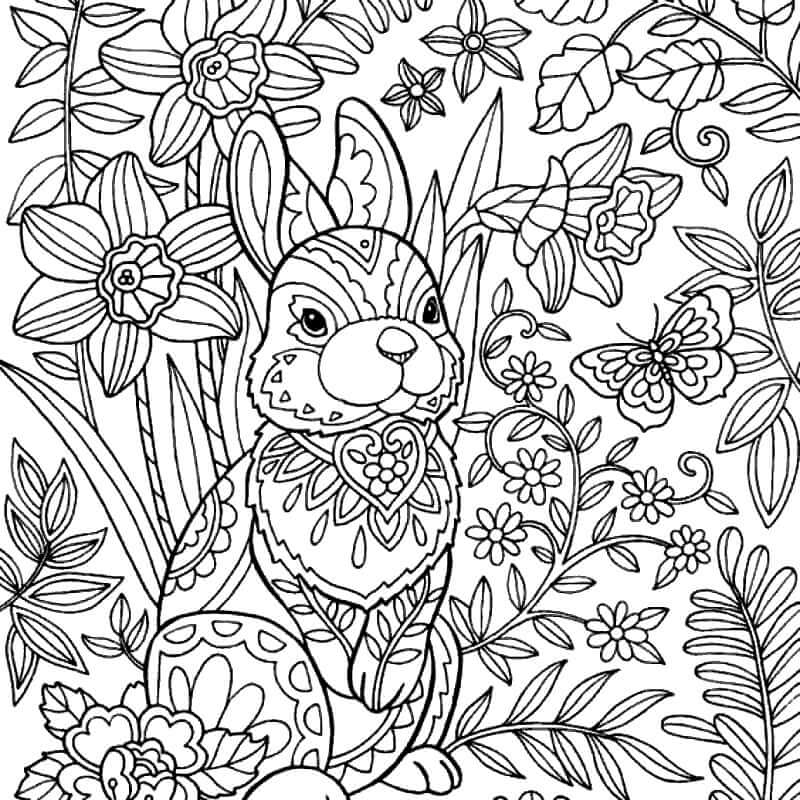 Omalovánka Rabbit with Flowers in Spring