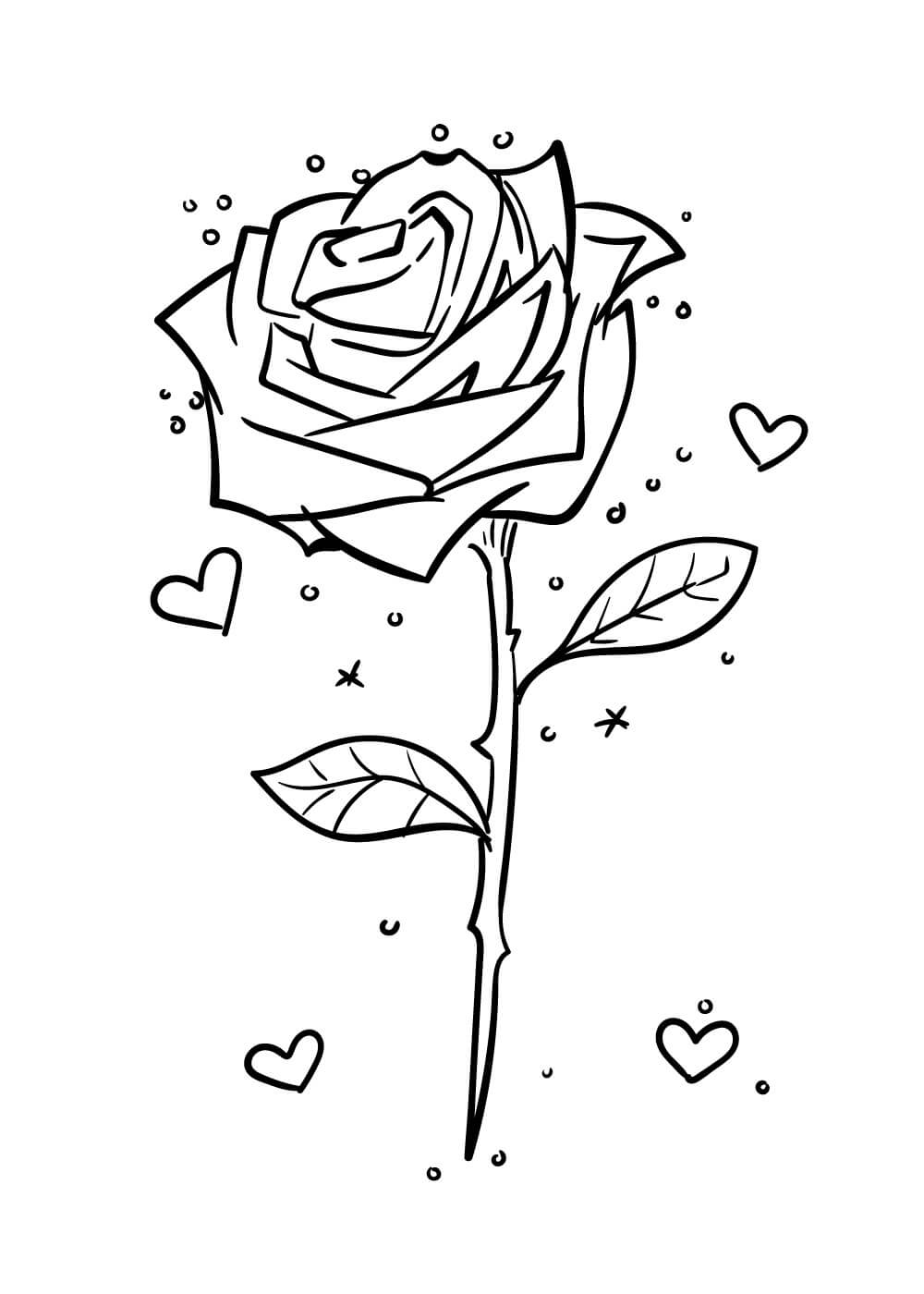Růže omalovánka