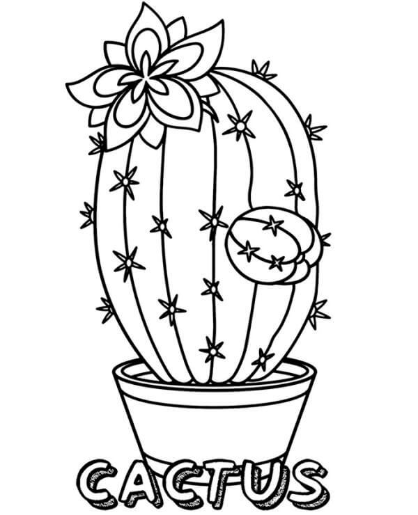 Rozkošný kaktus omalovánka