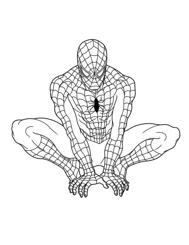 Spiderman Grafika Zdarma omalovánka