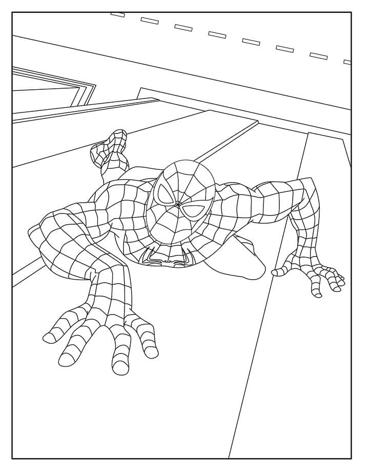 Spiderman Lezení ve Městě omalovánka