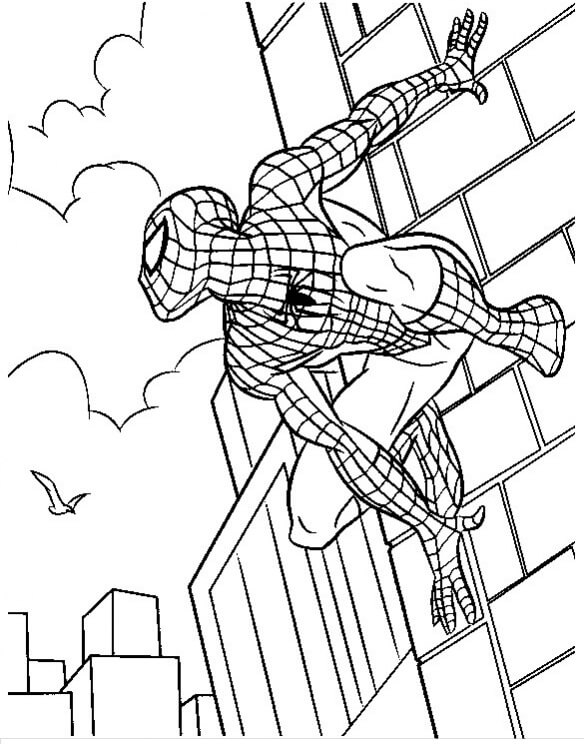 Spiderman šplhání ve Městě omalovánka