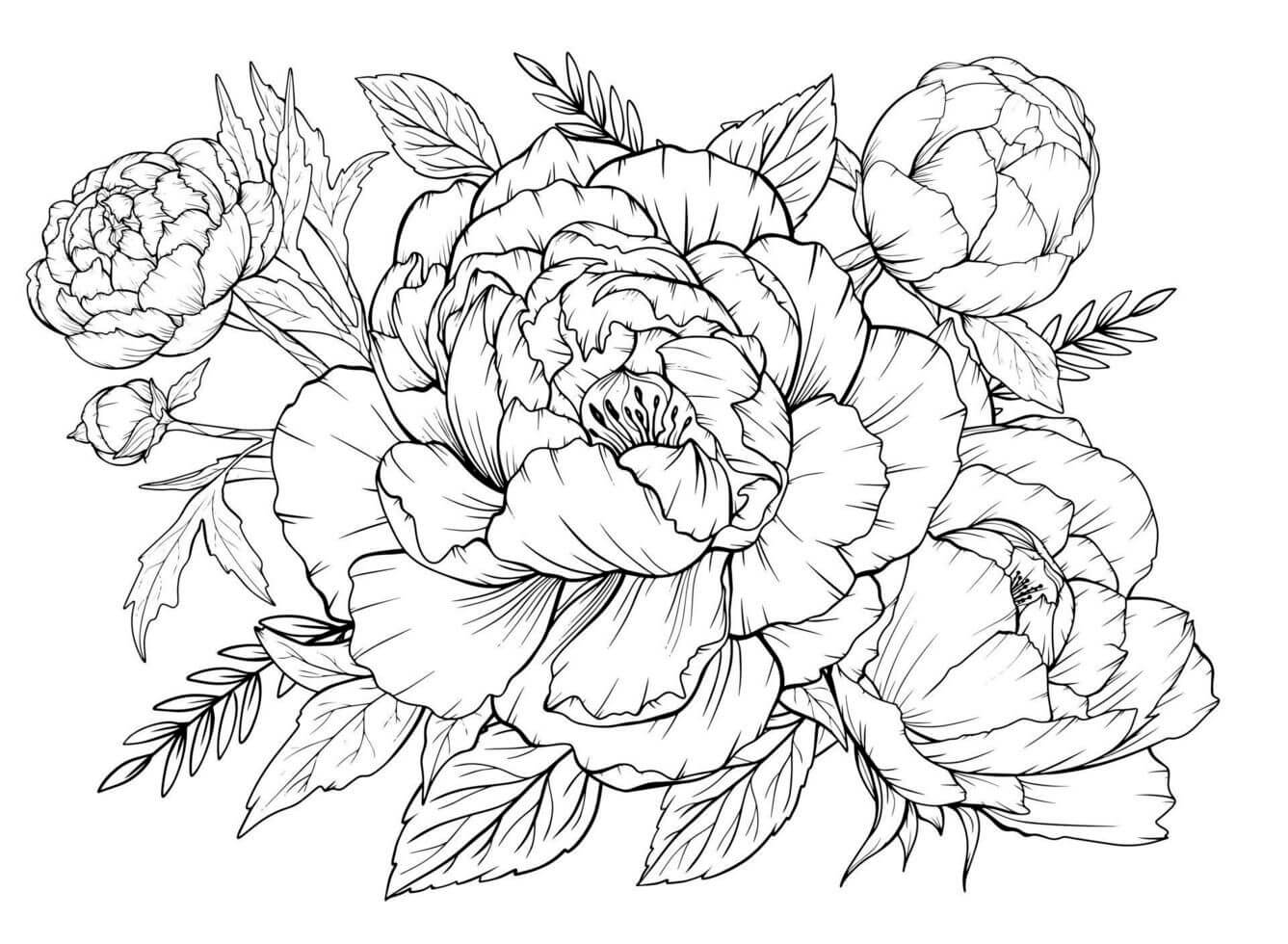 Tetování růží omalovánka