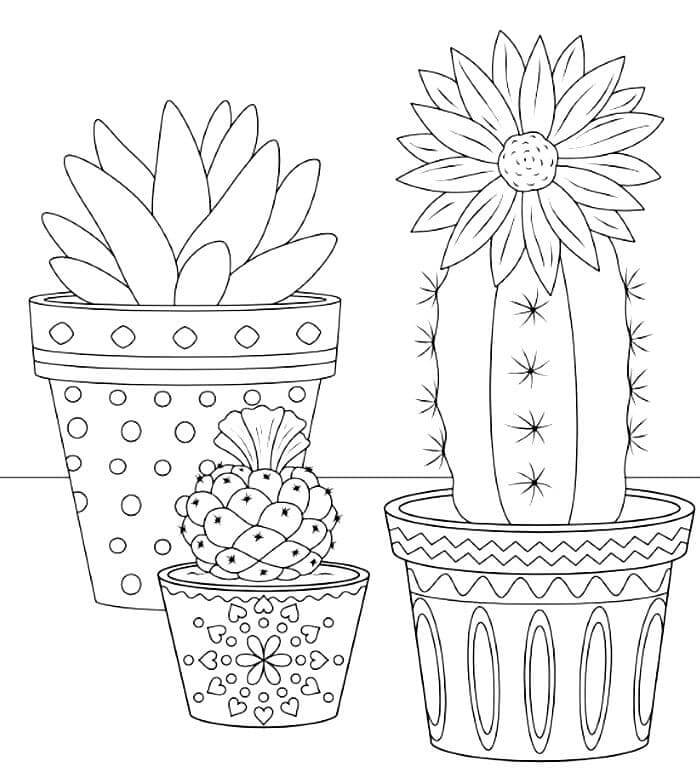 Tři kaktusy v květináči omalovánka