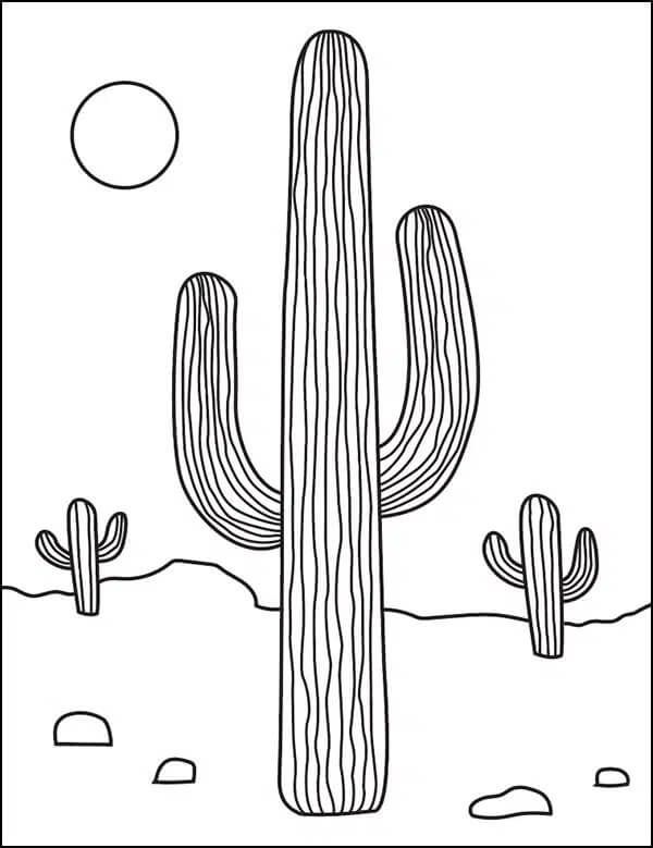 Tři kaktusy v poušti omalovánka