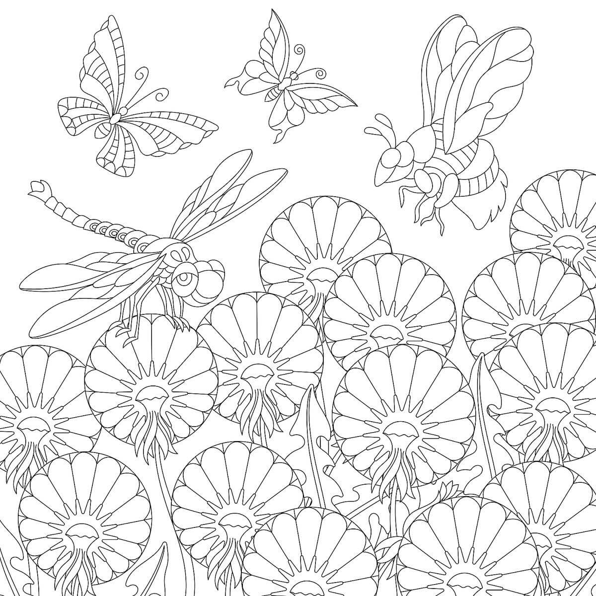 Čtyři hmyz a květiny omalovánka