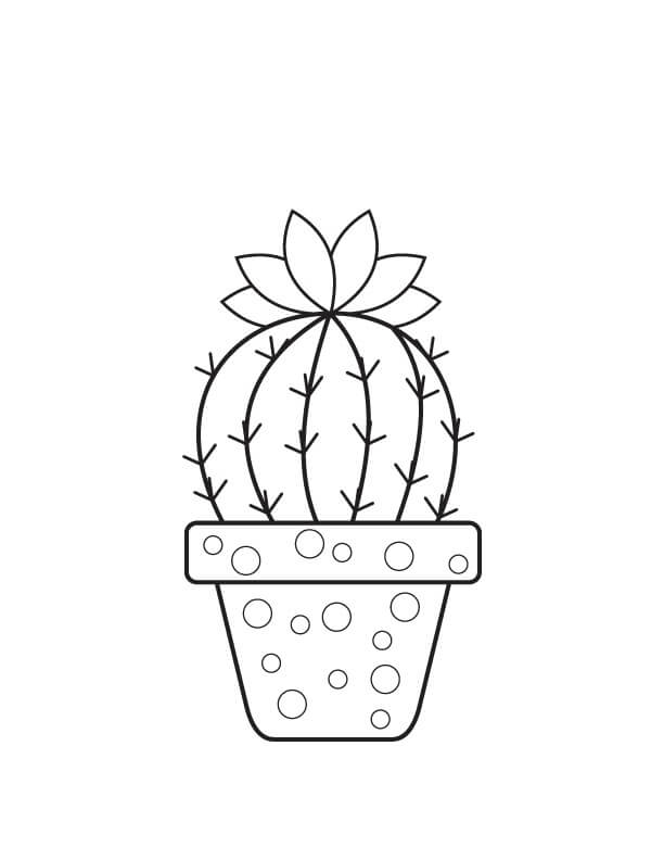 Základní hrnkový kaktus omalovánka