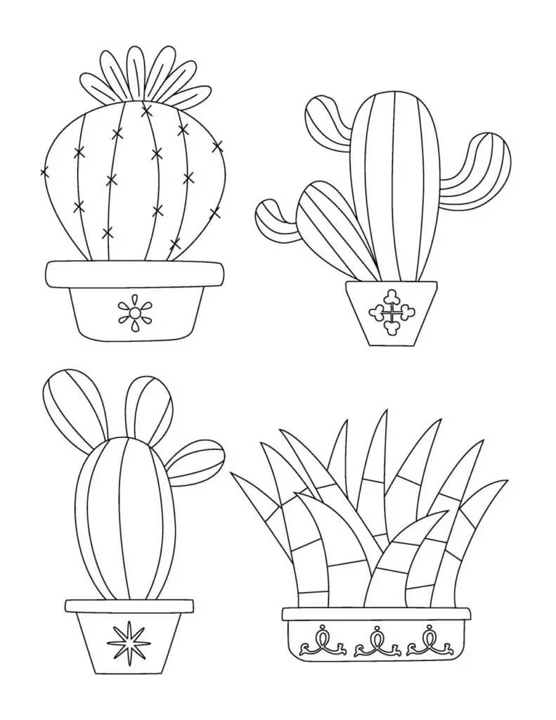 Základní čtyři hrnkové kaktusy omalovánka