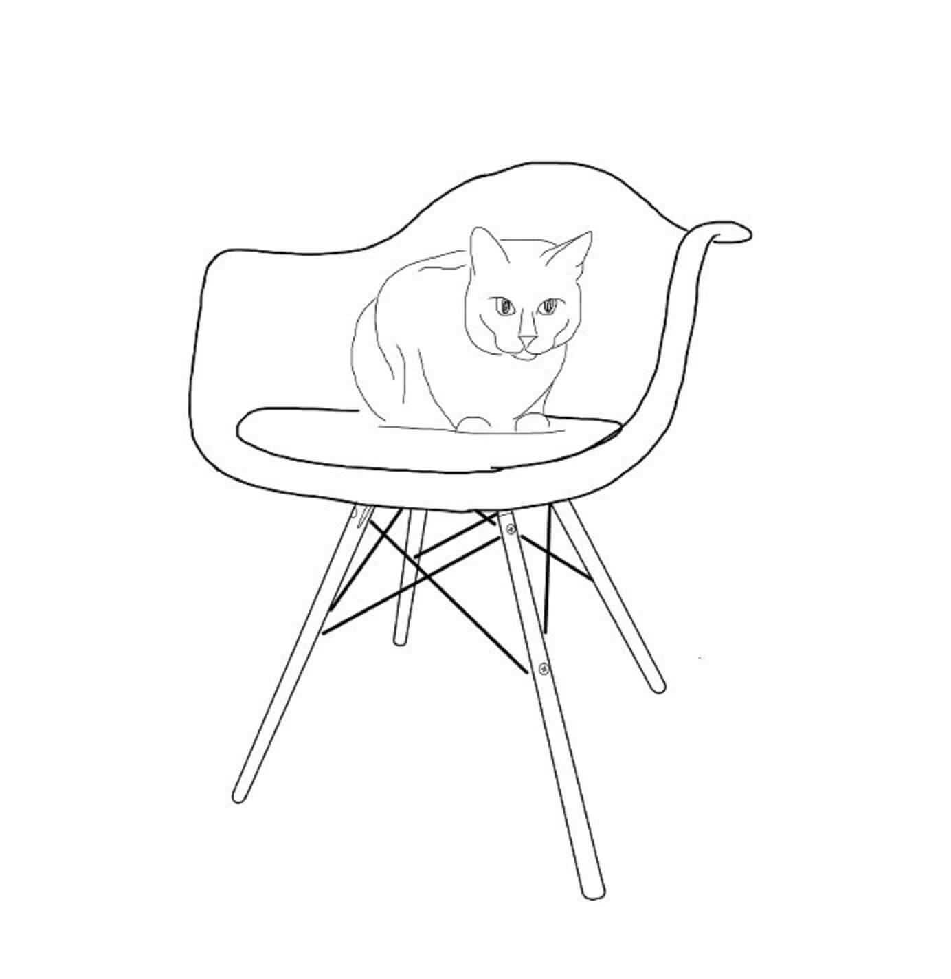 Kočka na židli omalovánka