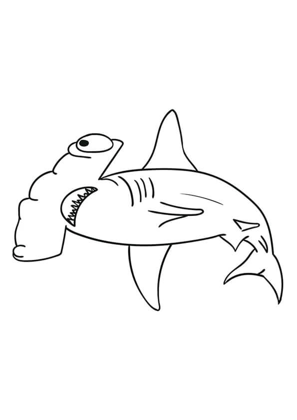 Plavání žraloka Kladivouna omalovánka
