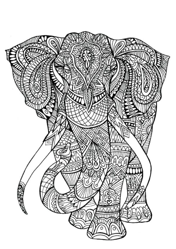 Antistresové zbarvení slona se vzory. omalovánka