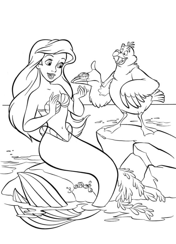Omalovánka Racek a mořská panna