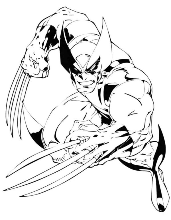 Omalovánka Wolverine
