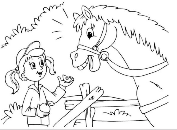 Dívka zachází jablkem s mladým koněm. omalovánka